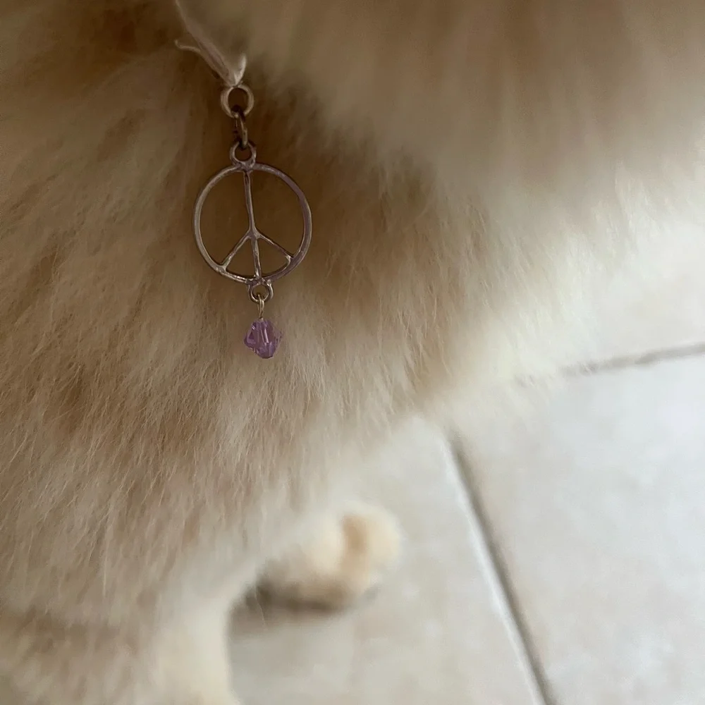 ☮️Silver peace sign dog collar charm - Picture 4 of 4